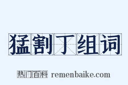 猛割丁组词是什么意思的图片